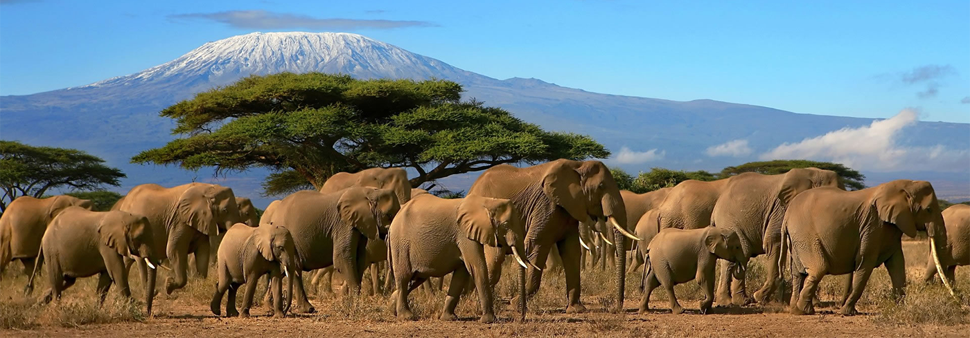 Amboseli National Park