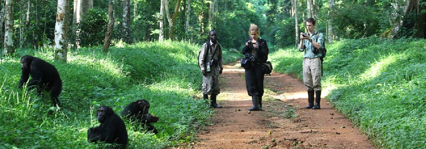 Kibale National Park