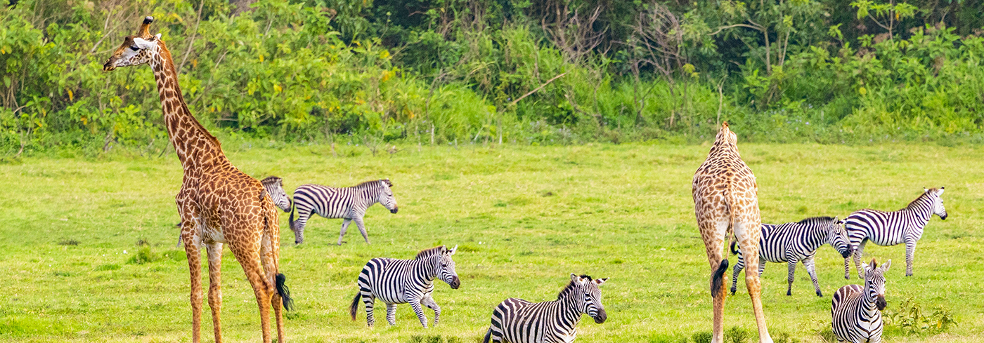 Maasai Mara National Reserve