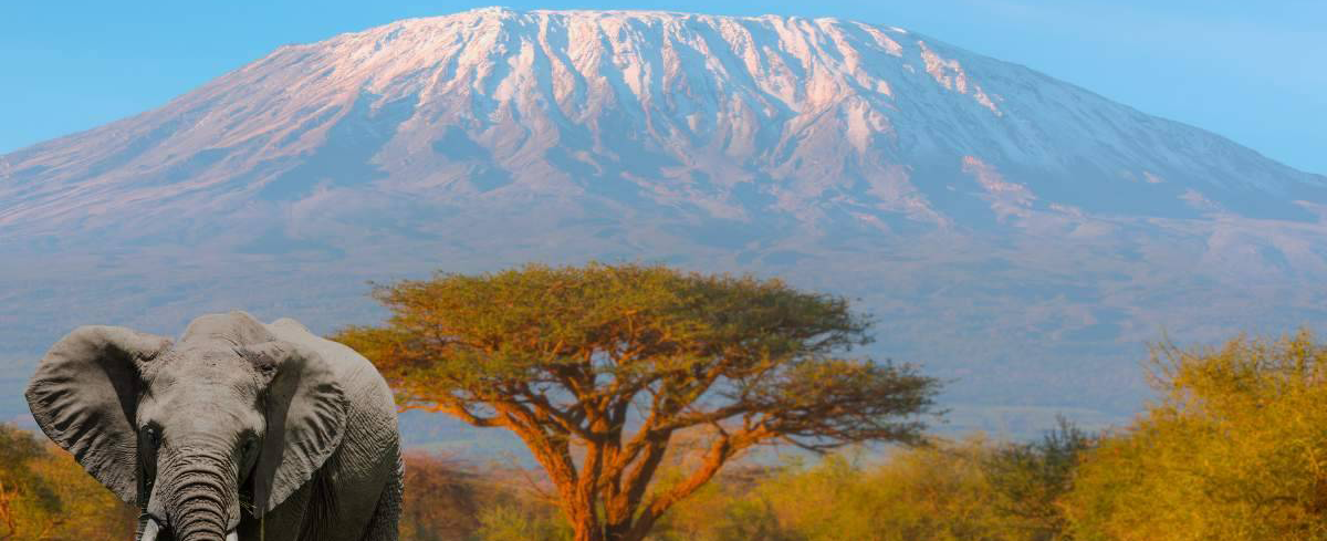 Mount Kenya