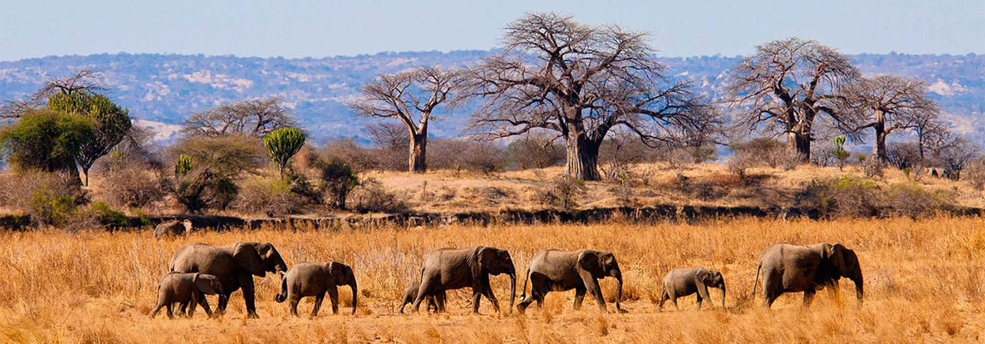 Tarangire National Park