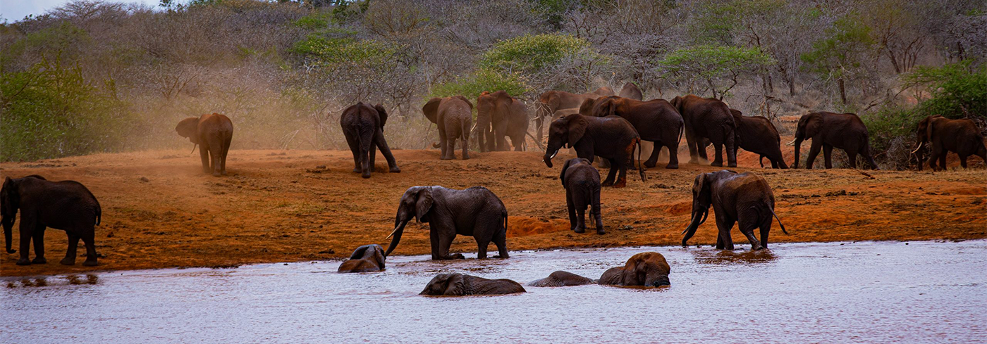 Tsavo East and West National Parks