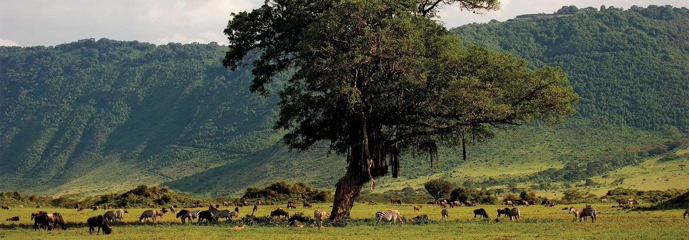 Ngorongoro Conservation Area