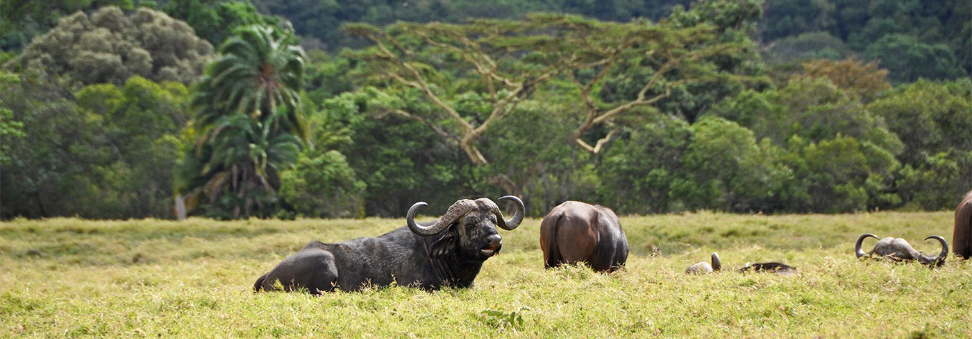 Arusha National Park